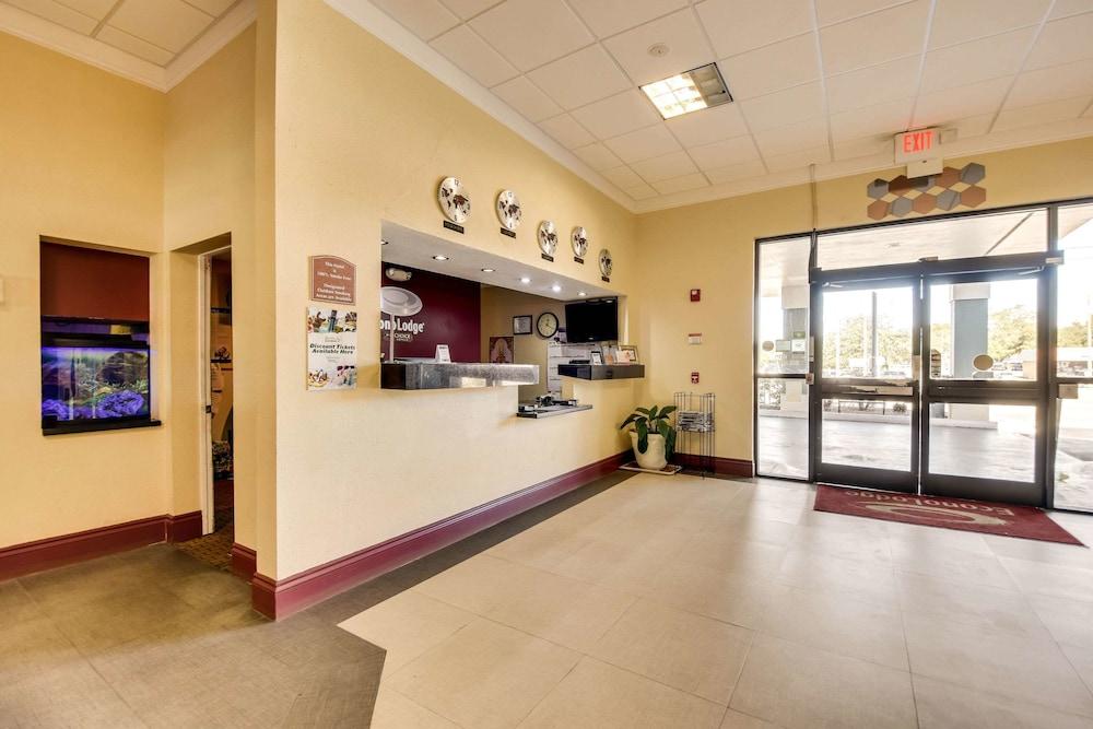 Econo Lodge Tampa near Busch Gardens photo 29
