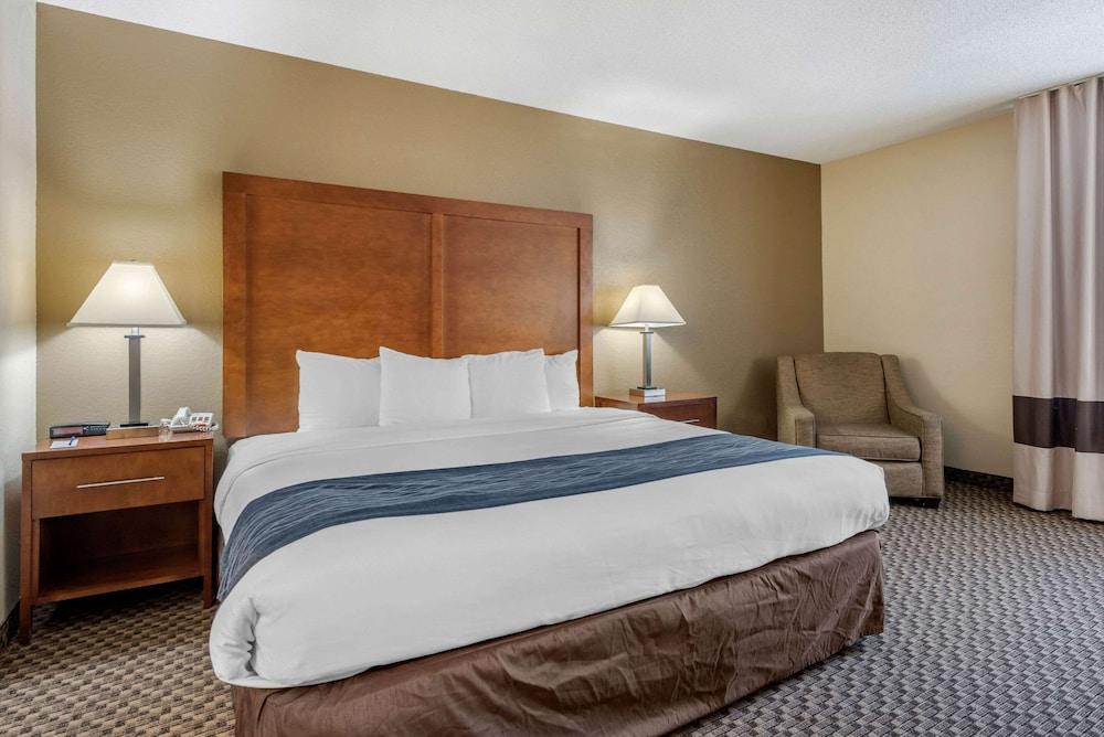 Comfort Inn Indianapolis South photo 7