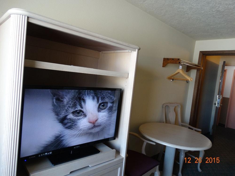 Budget Motel photo 4