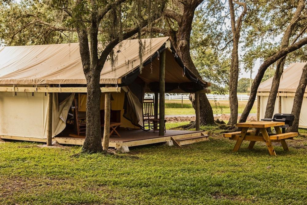 Westgate River Ranch Resort & Rodeo photo 96