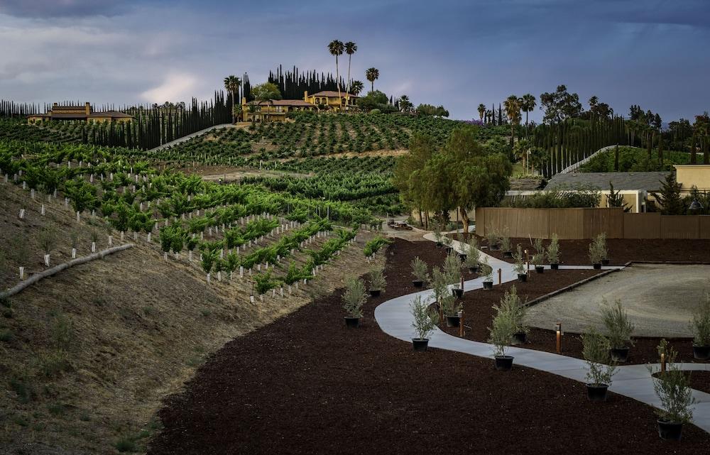 Europa Village Wineries and Resort photo 20