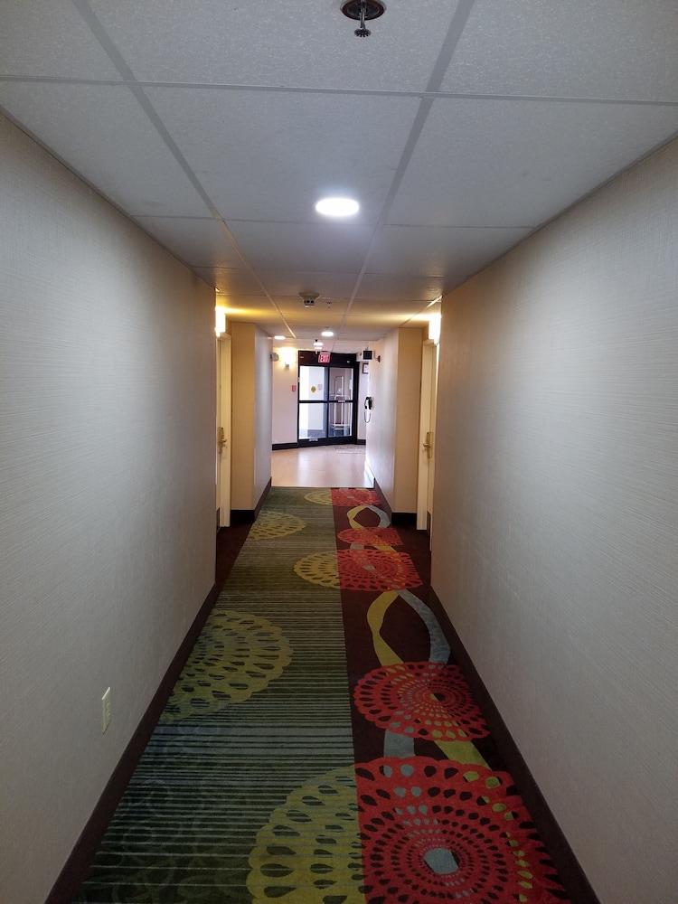 Comfort Inn North of Asheville photo 71