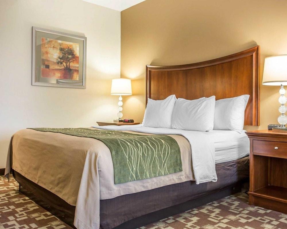Comfort Inn & Suites Orangeburg photo 4