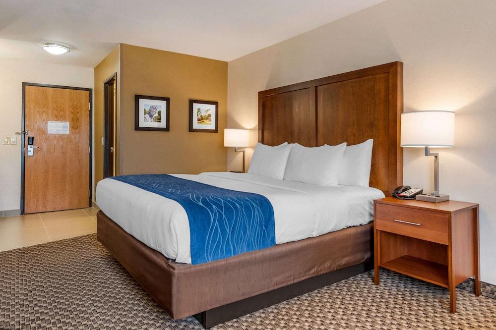 Comfort Inn & Suites near Route 66 photo 11