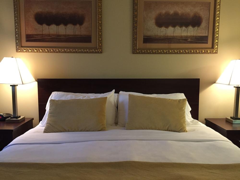 Travelodge by Wyndham Presidio San Francisco photo 10