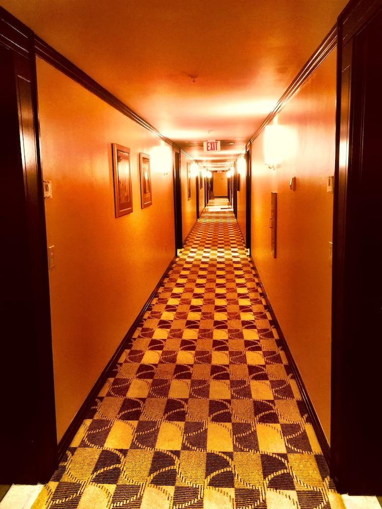 De Soleil Hotel on Ocean Drive photo 15