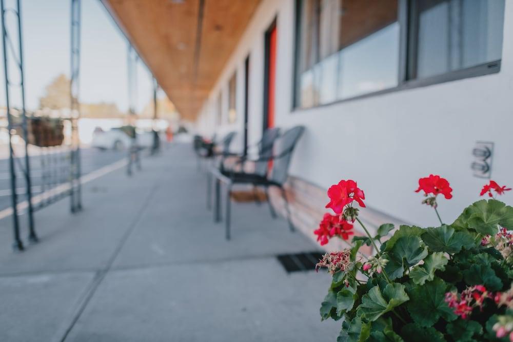 The Sapphire Motel photo 44