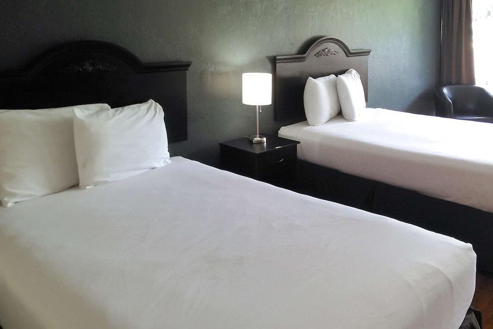 Econo Lodge Ormond Beach North - Daytona photo 5