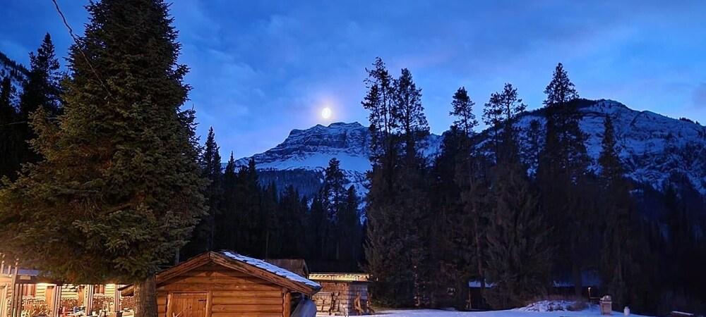 Grizzly Lodge photo 6