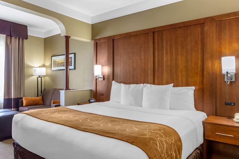 Comfort Suites Plainview photo 7