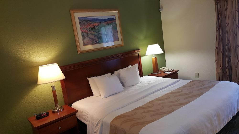 Quality Inn & Suites Conference Center photo 15