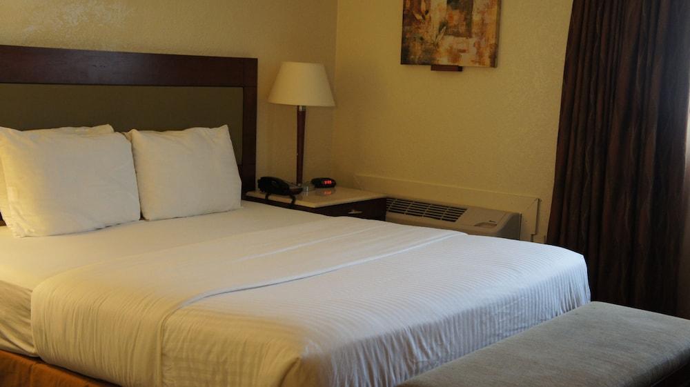 Lexington Inn & Suites NW Chicago Elgin photo 5