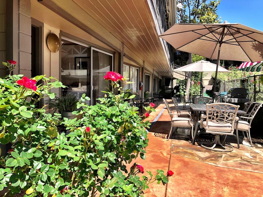 Piazza's Pine Cone Inn photo 4
