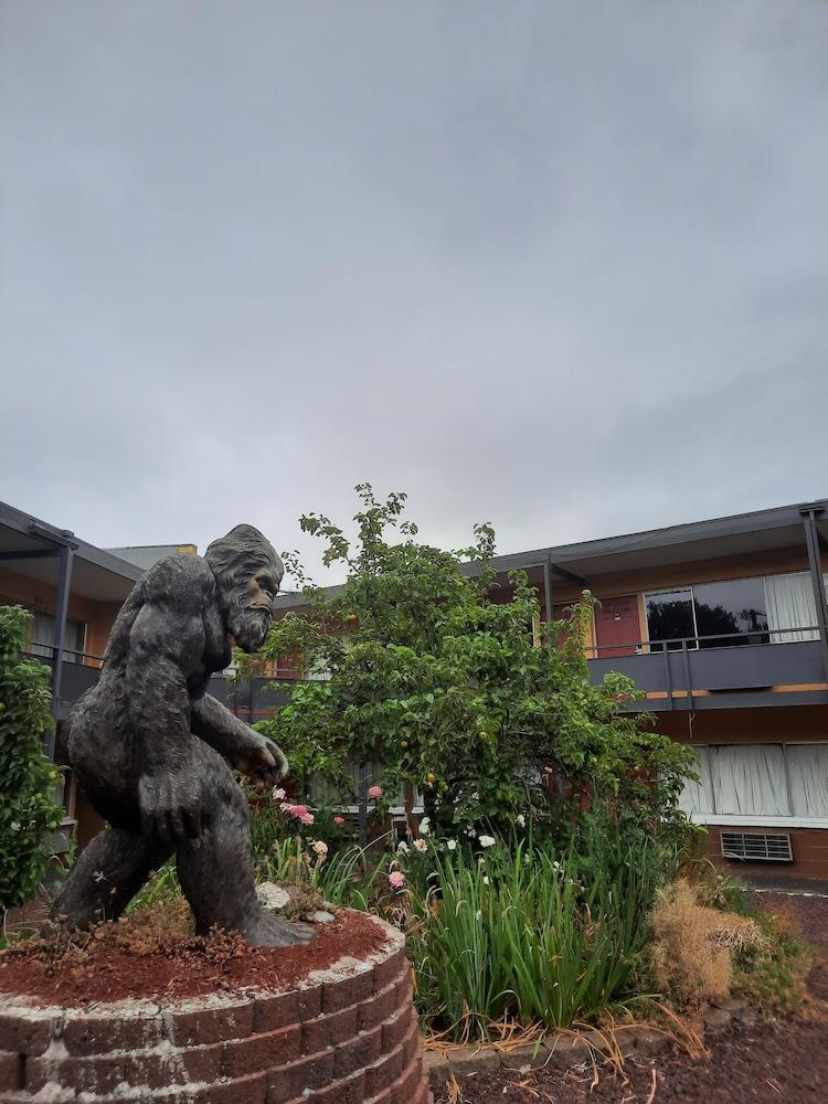 Longview Inn photo 12