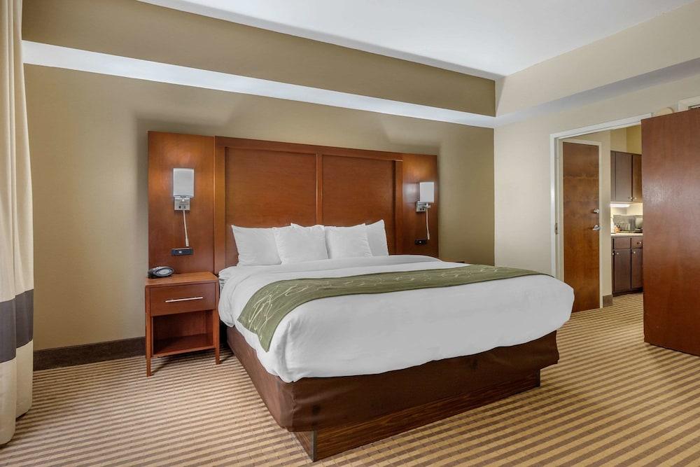 Comfort Suites Johnson City near University photo 23