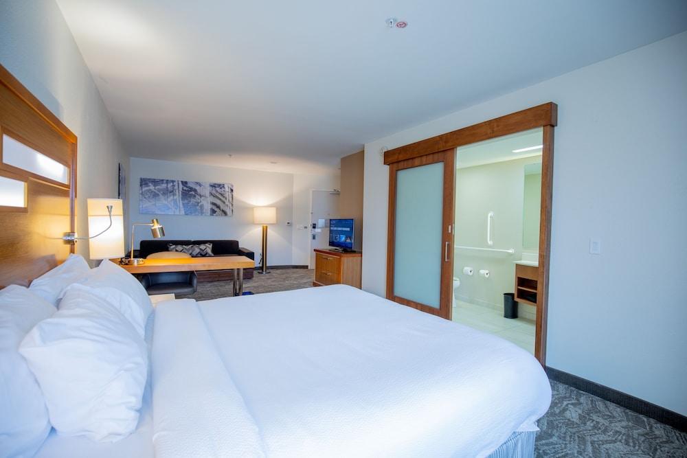 SpringHill Suites by Marriott Baton Rouge Gonzales photo 8