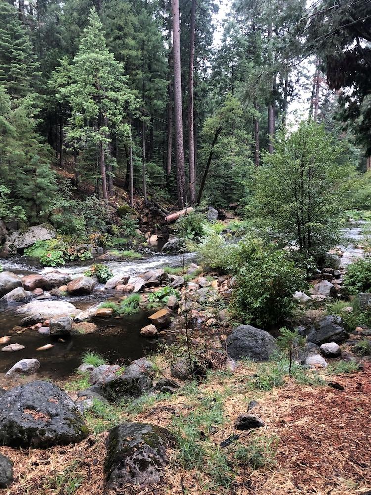 Sierra Inn on the River photo 9