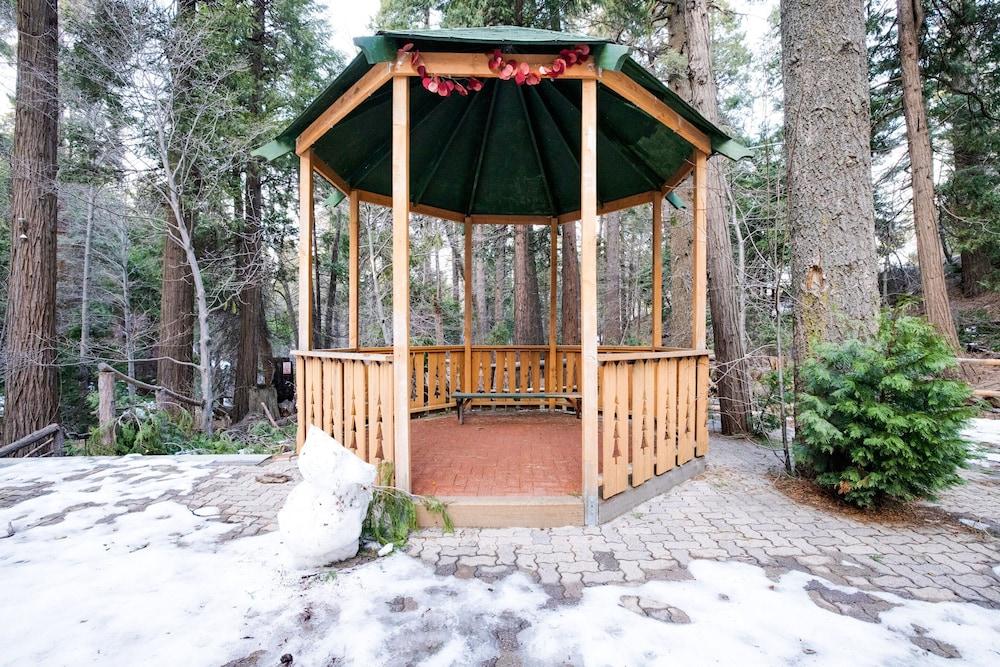 Arrowhead Tree Top Lodge photo 38