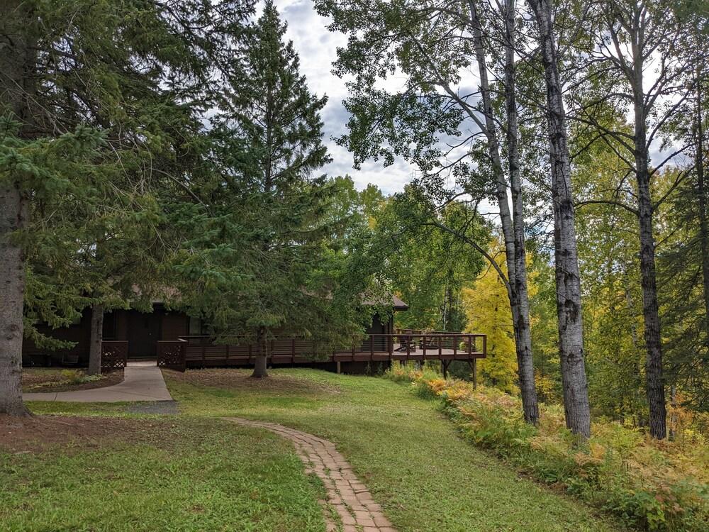 Rustic Woodland Lodge photo 13