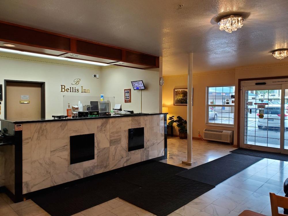 Bellis Inn photo 4