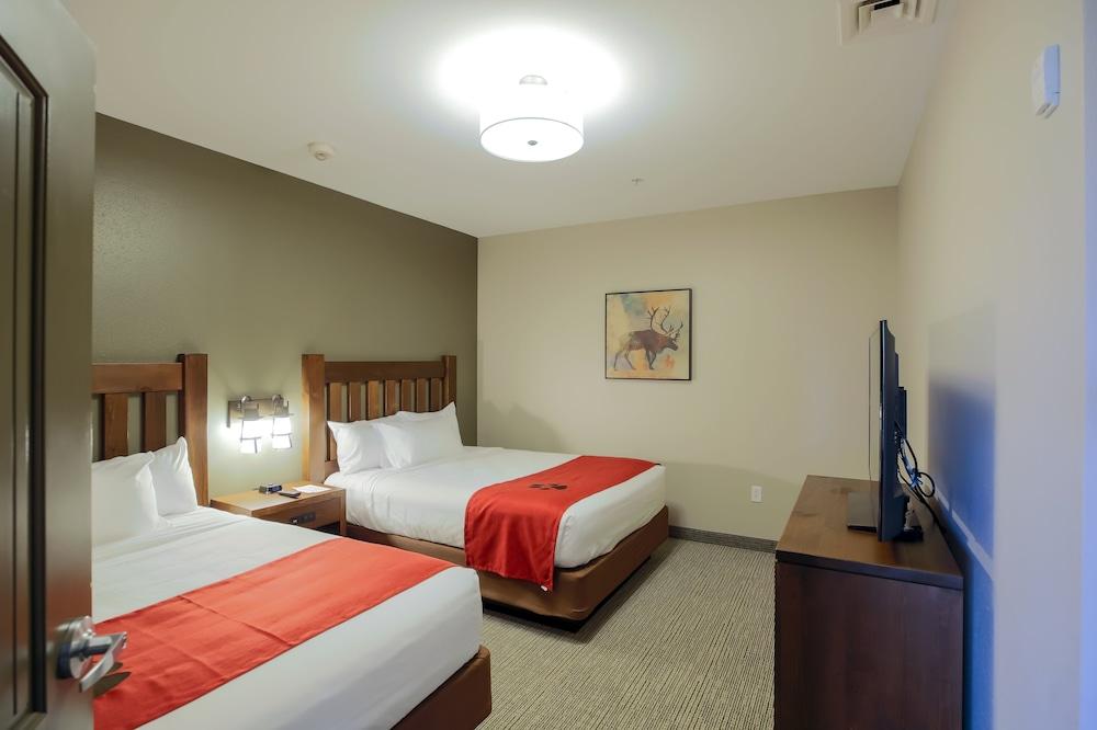 Great Wolf Lodge Illinois photo 12