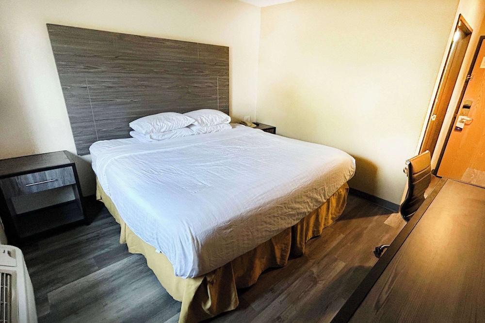 Travelodge by Wyndham Arlington/Dallas Area photo 14