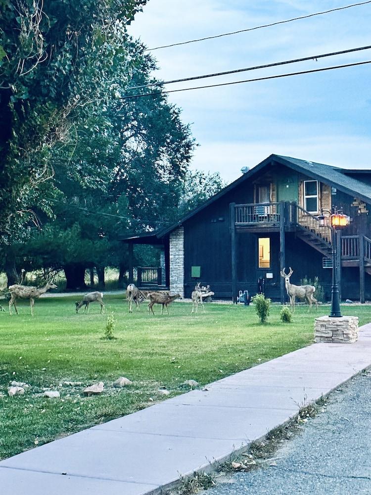 Moosehead Lodge & Cabins photo 49