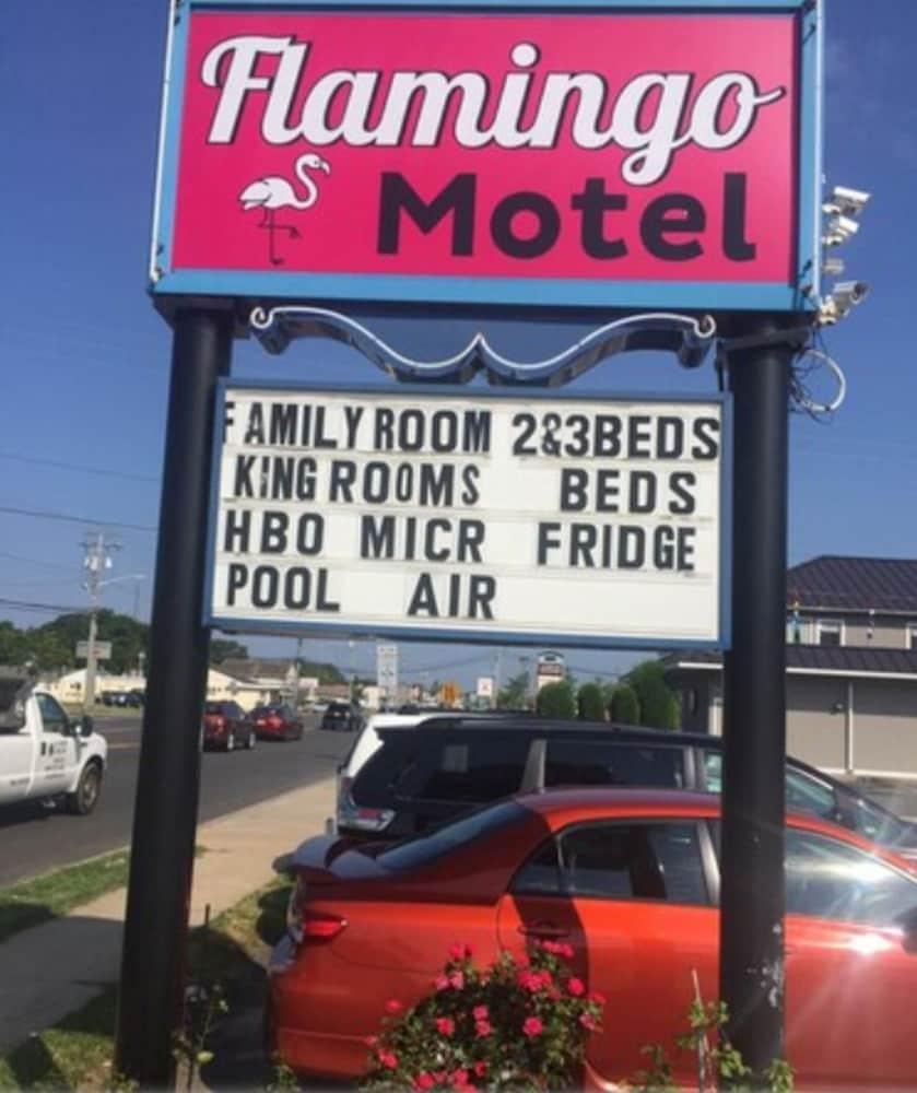 Flamingo Motel photo 11