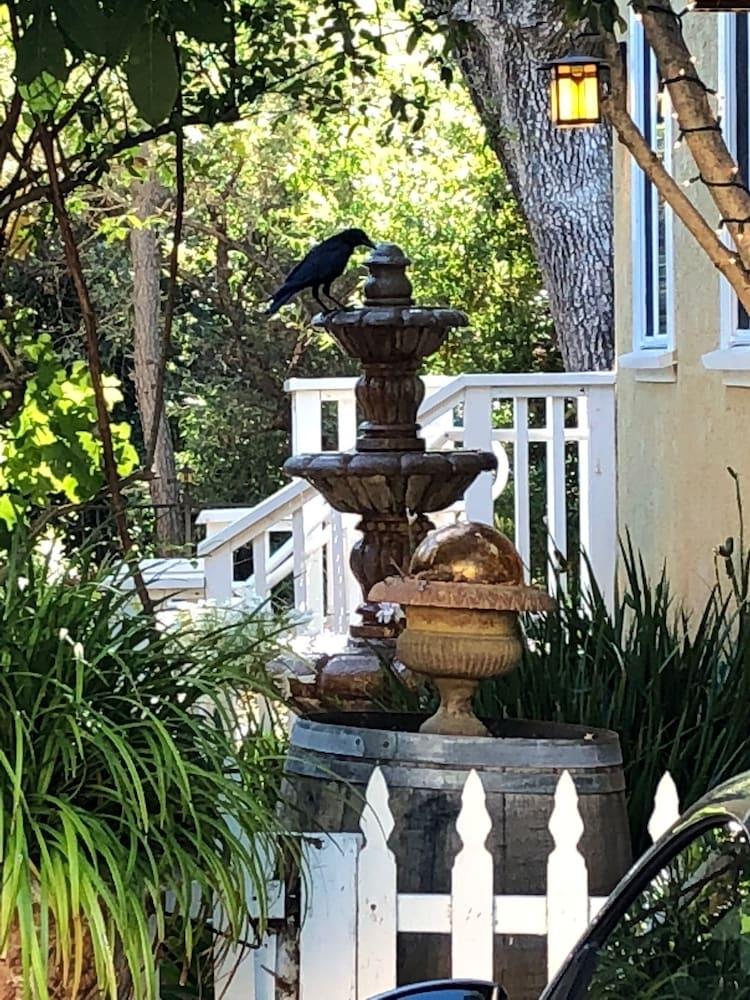 Glen Ellen Inn photo 35