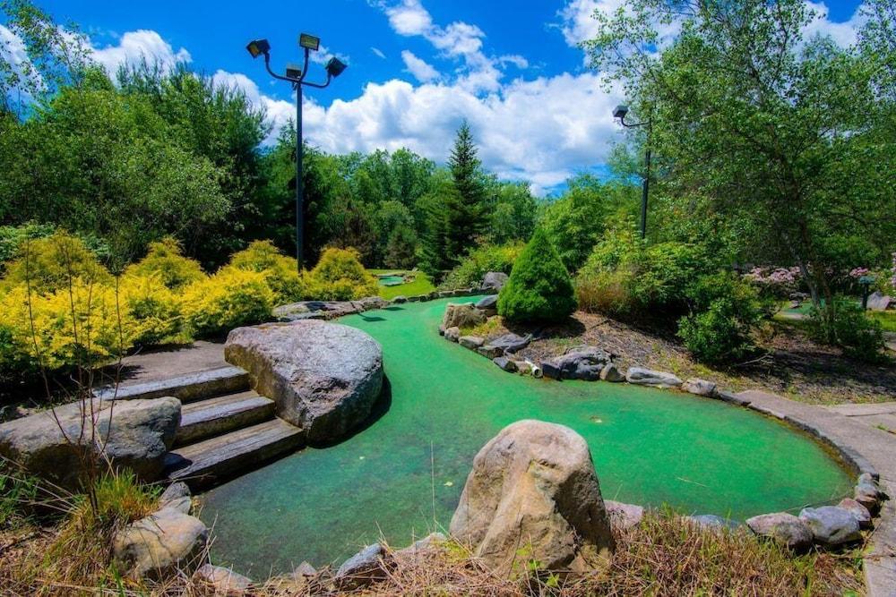 Mountain Laurel Resort photo 45