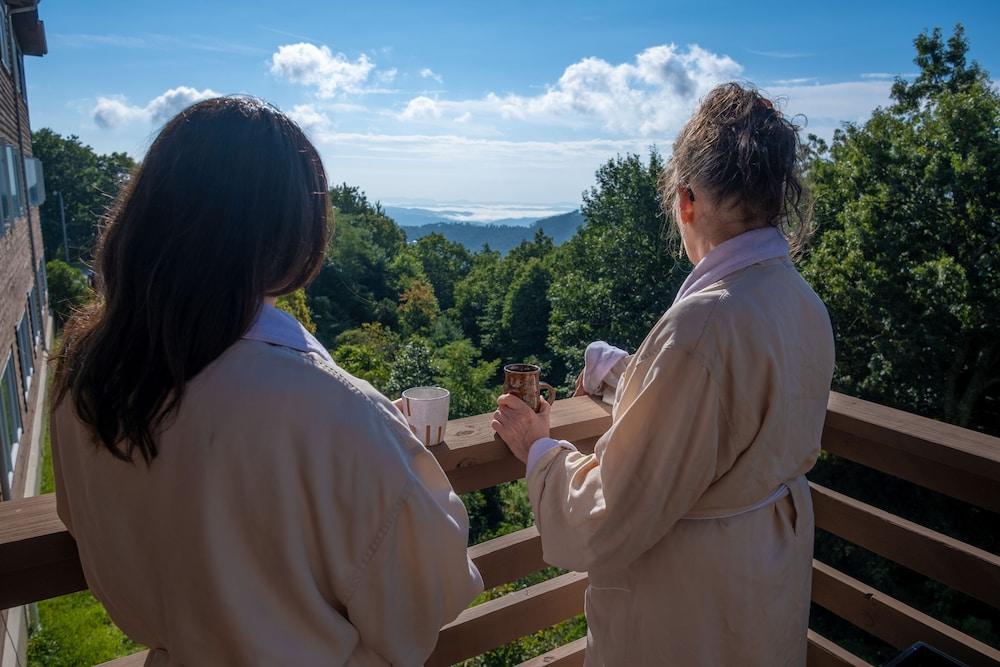 Art of Living Retreat Center photo 20