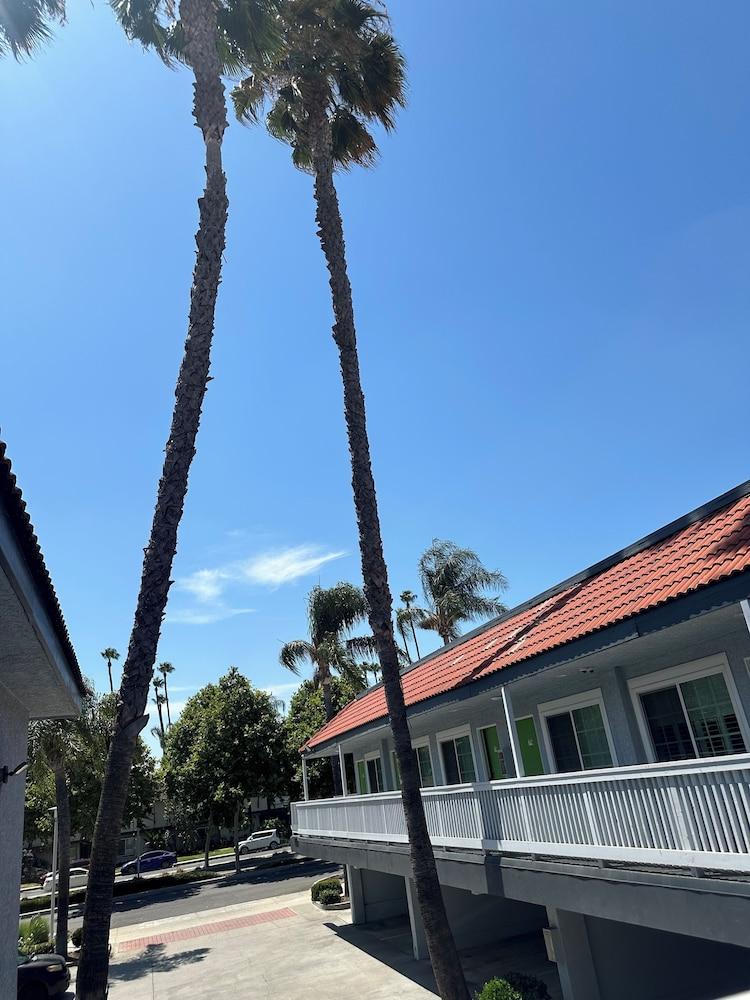 Garden Inn photo 41