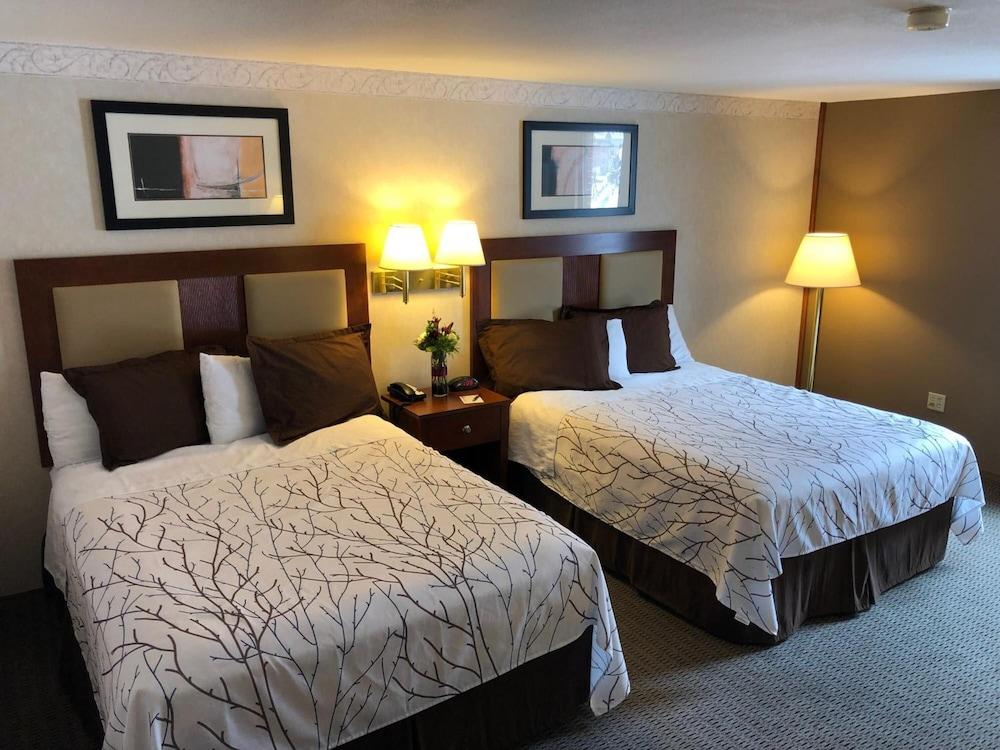 Mineral Palace Hotel & Casino photo 34