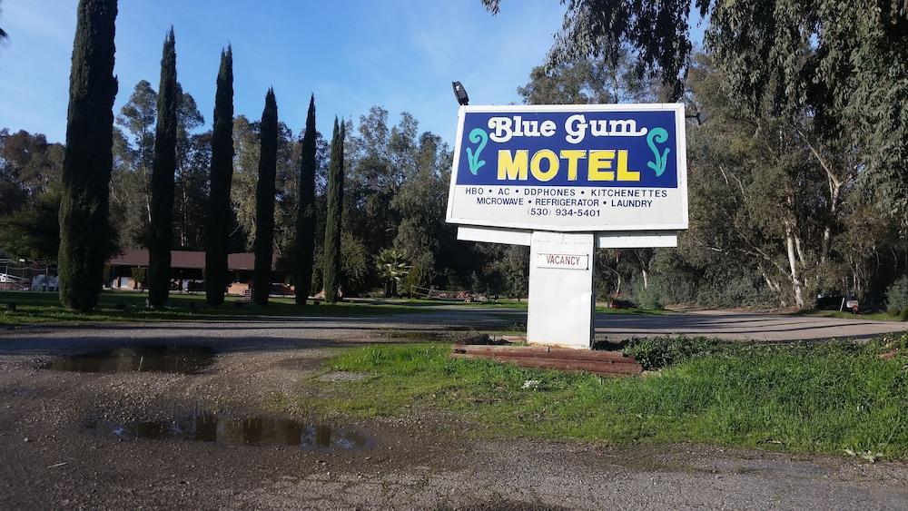 Blue Gum Motel photo 30