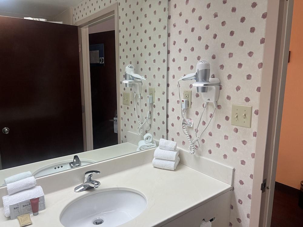 Orlando Palms Hotel photo 15