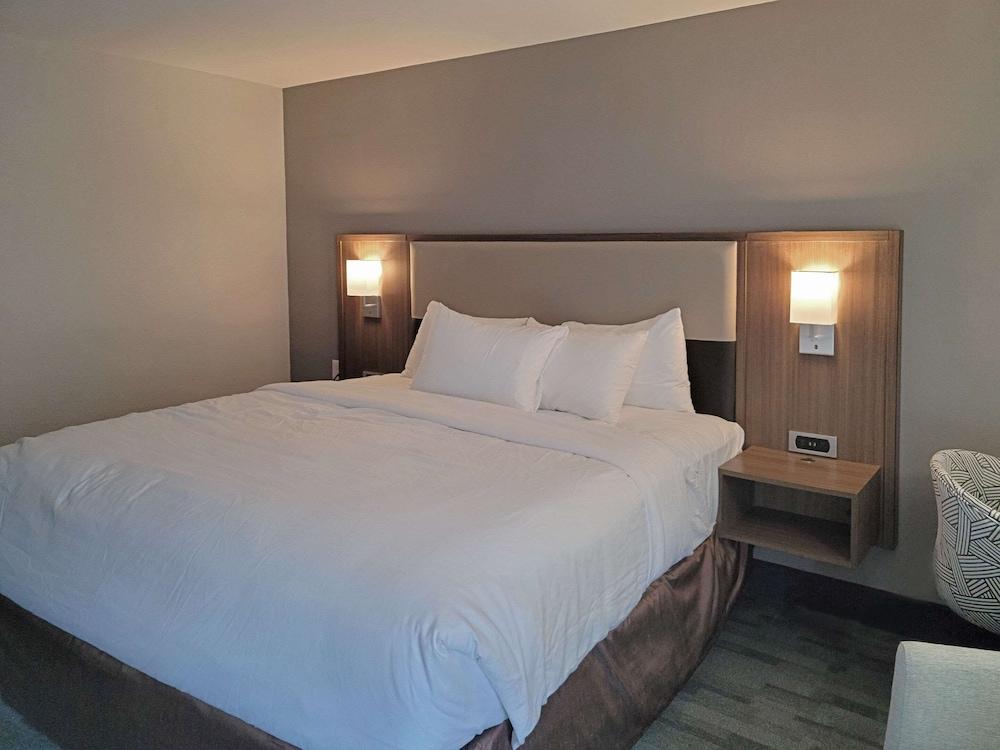 Comfort Inn & Suites Wyomissing/Reading photo 57