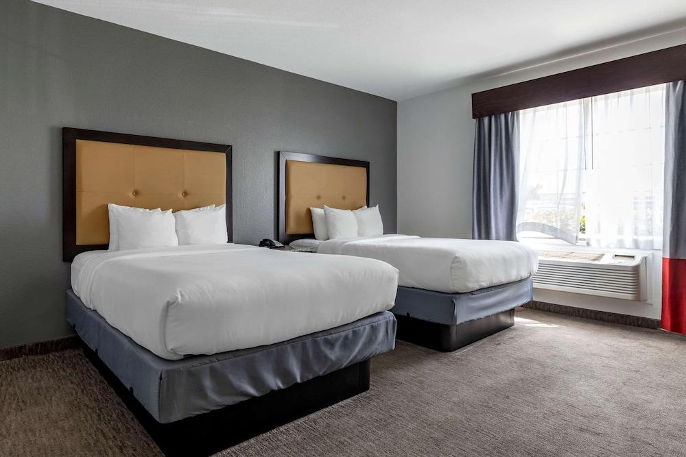 Comfort Inn & Suites Gatesville photo 15