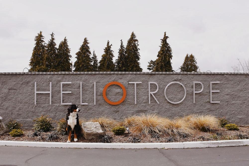 Heliotrope Hotel photo 64