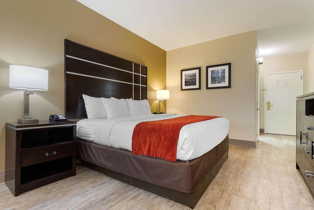 Comfort Inn North of Asheville photo 24