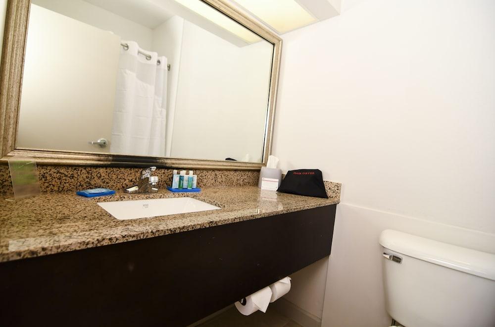 Holiday Inn Express Hotel & Stes Port Clinton-Catawba Island by IHG photo 63