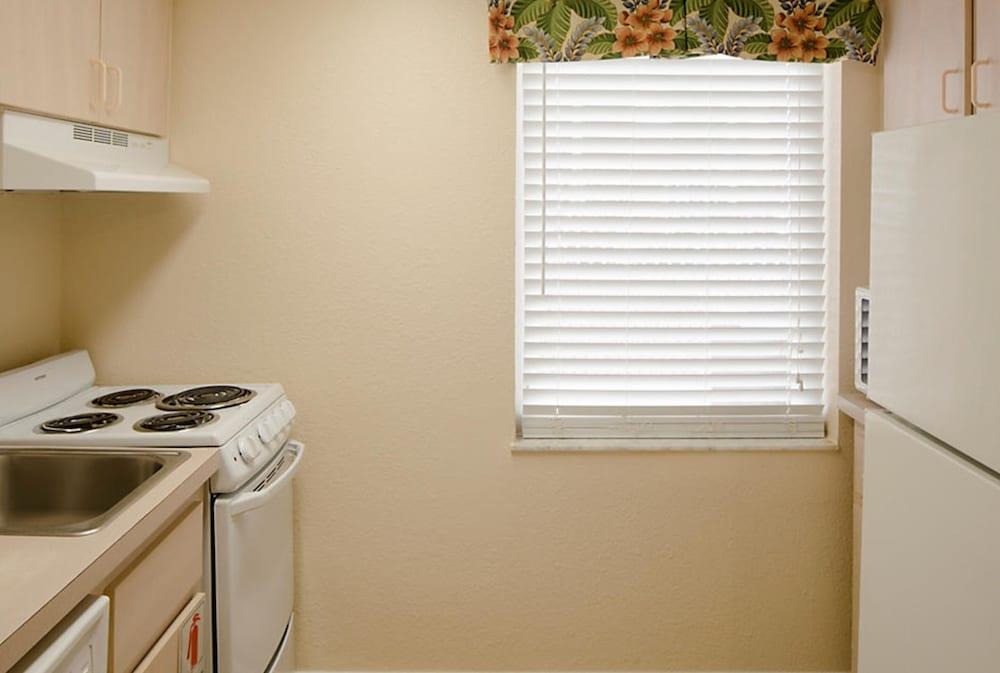 Dolphin Beach Club photo 6