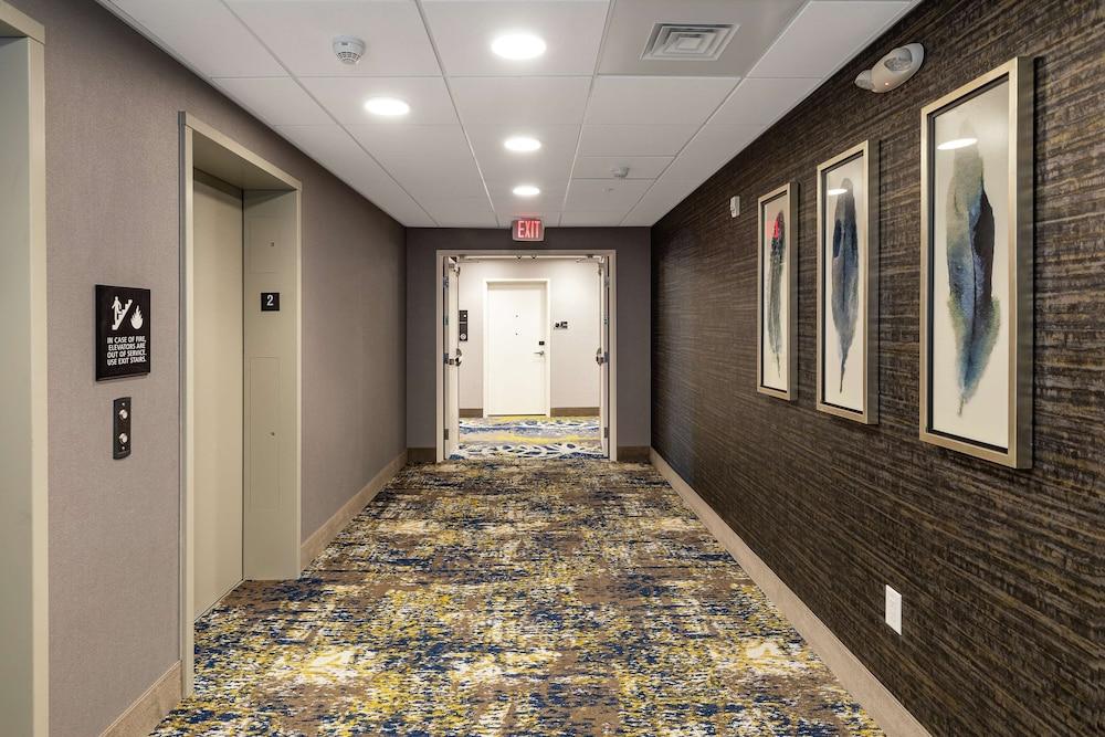 Hampton Inn & Suites Columbia Killian Road photo 10