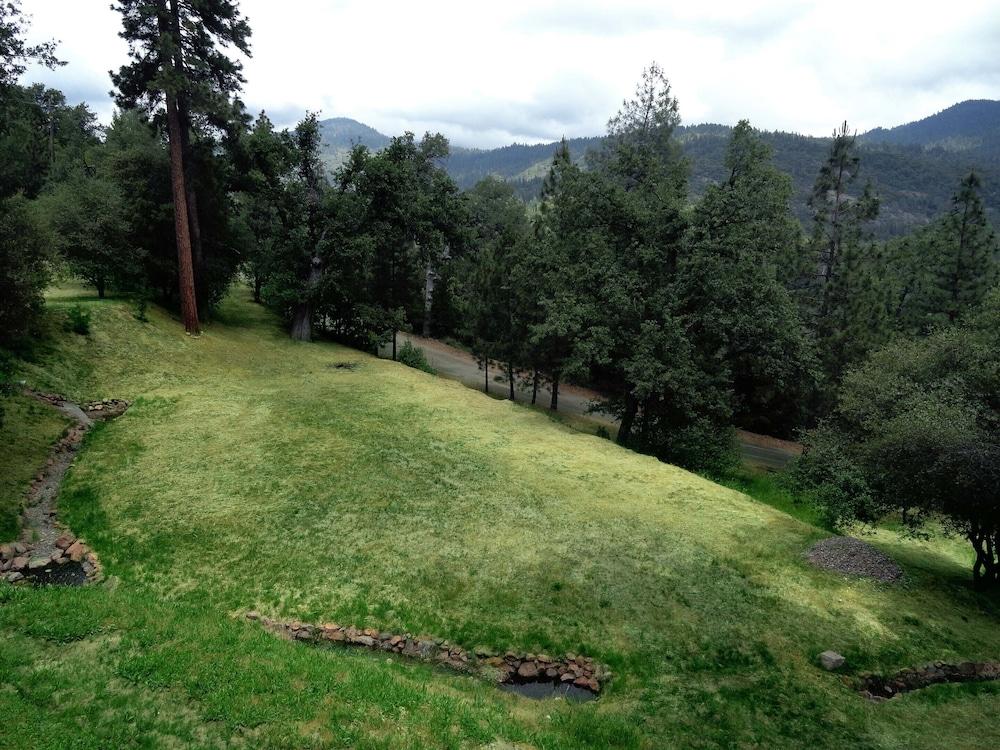 Evergreen Haus photo 50