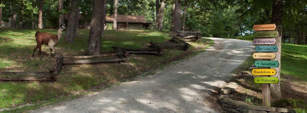 Lake Lucerne Resort & Ranch photo 13