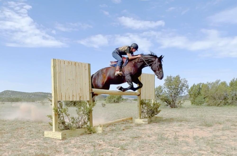 Teepee Lodge with Equus & Firearms/ranch photo 59