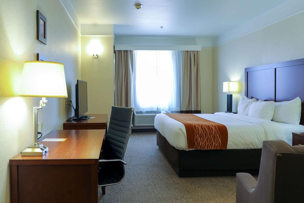 Comfort Inn & Suites, Odessa I-20 photo 13