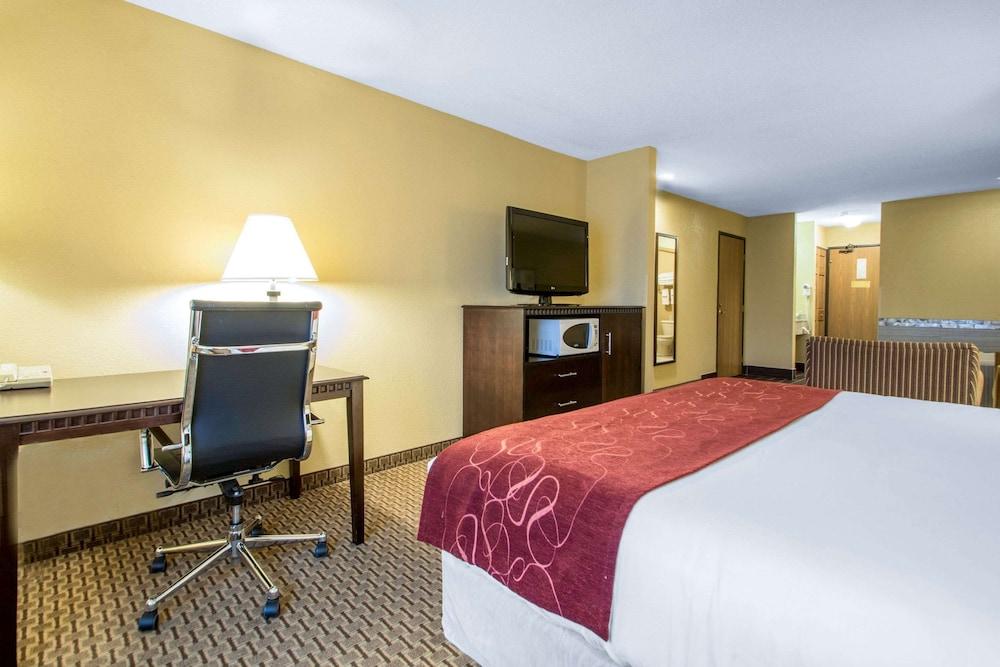 Comfort Suites Wisconsin Dells Area photo 45