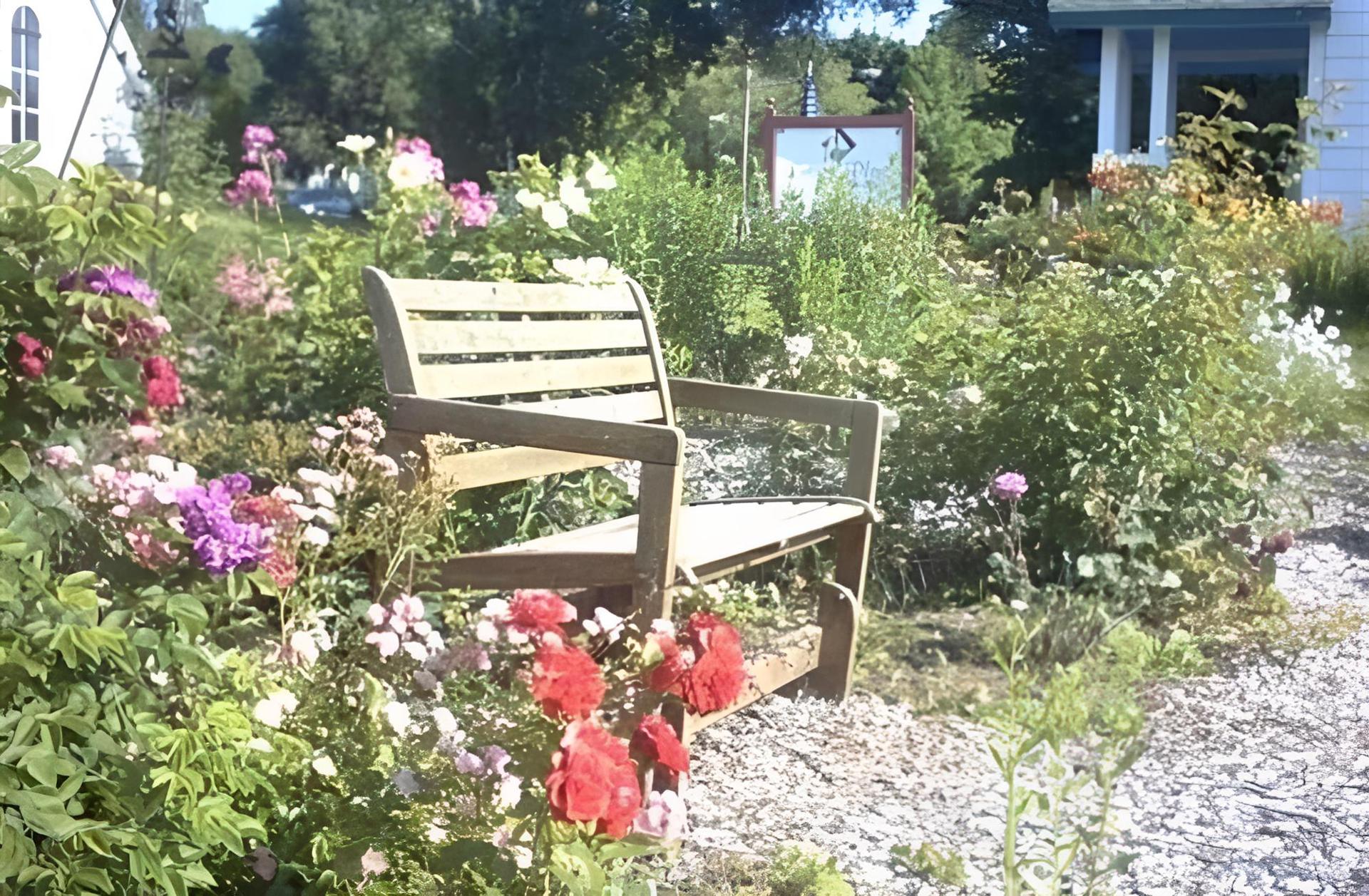 Lucy's Place photo 11