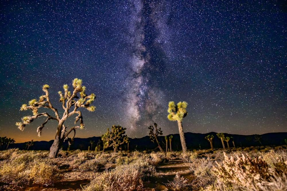 Panamint Springs Resort photo 43