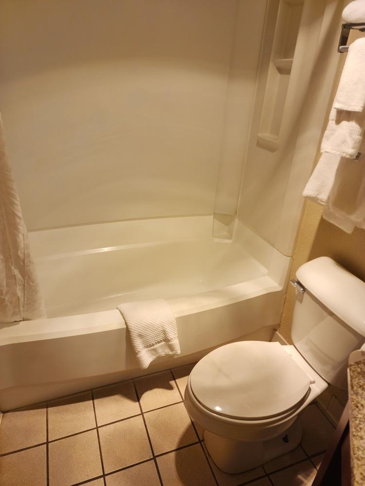 Comfort Inn & Suites Madison - Airport photo 8
